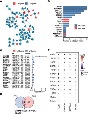 Construction and Validation of Two Hepatocellular Carcinoma-Progression Prognostic Scores Based on Gene Set Variation Analysis